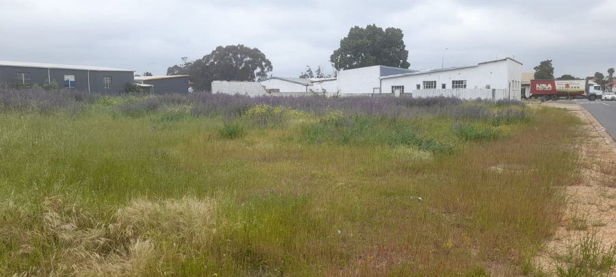  Bedroom Property for Sale in Moorreesburg Western Cape
